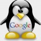 Googles Penguin Update - keine Panik