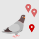 Google Update Pigeon ändert die Suchergebnisse bei lokaler Suche